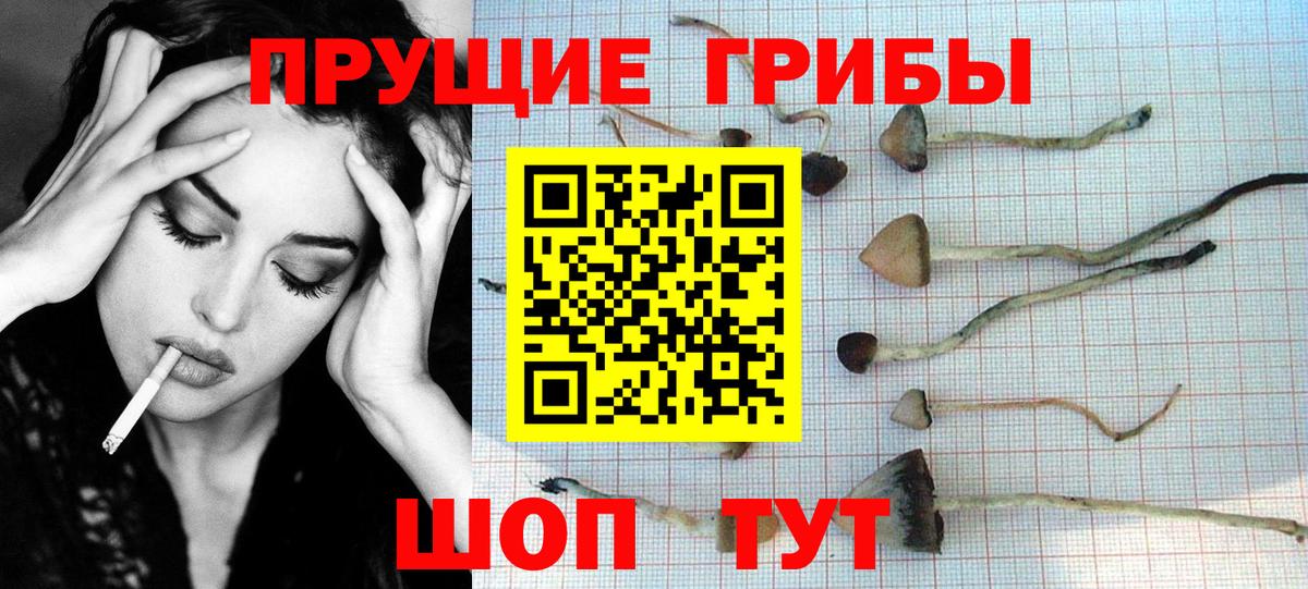 Галлюциногенные грибы MAGIC MUSHROOMS  Галлюциногенные грибы Cubensis  Вход с VPN  Сухой Лог 